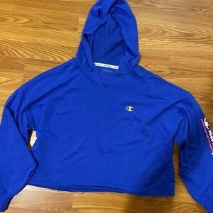 Champion Cropped Hoodie/Sweatshirt XL (GJ)